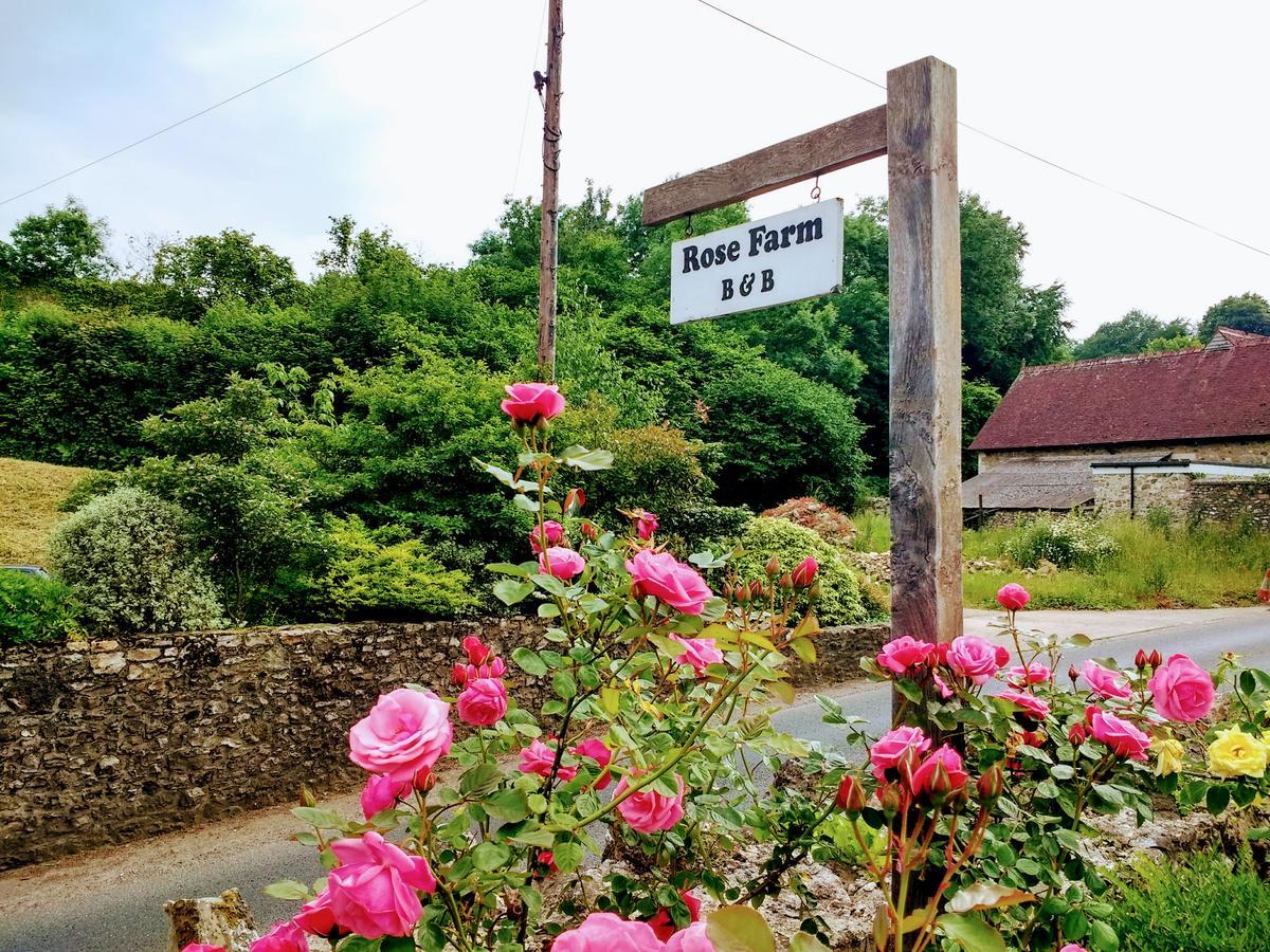 לינה וארוחת בוקר הוניטון Rose Farm מראה חיצוני תמונה